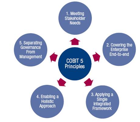 cobit5-principles.jpg